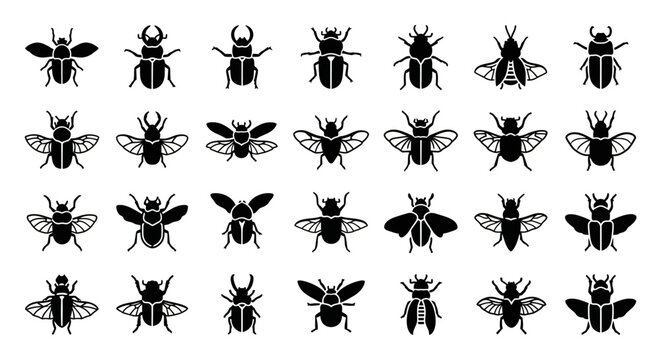 Black fly icons, insect illustrations, bug graphics, 25 fly symbols, vector set