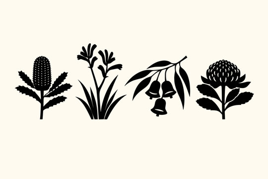 Minimalist Vector Illustration of Four Distinct Australian Native Flora Species in Black Silhouette, Featuring Banksia, Kangaroo Paw, Eucalyptus Gum Bells, and Waratah Wildflowers.
