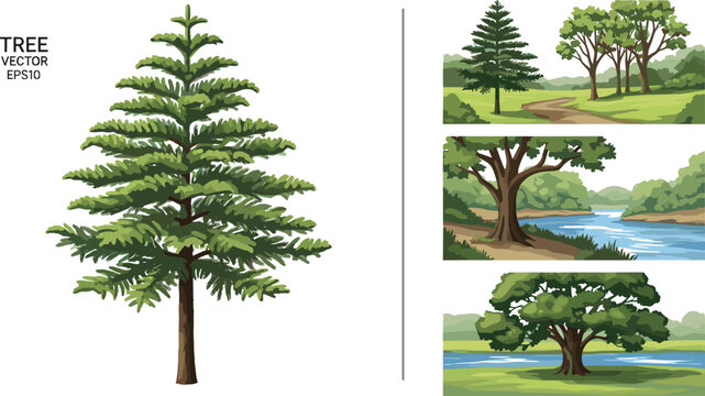 Pine tree and landscape scenes set with forest, river, and countryside illustrating natural environment, scenic views, and detailed botanical vector illustration