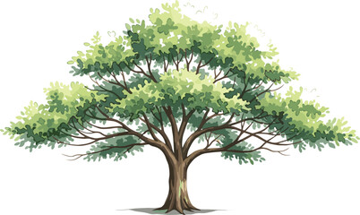 Large green tree with wide canopy and detailed branches illustrating natural landscape, forest vegetation, and realistic botanical vector illustration © jafrine