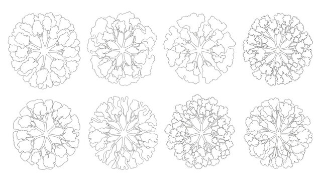 Collection of diverse outline tree and plant top view symbols for architectural landscape design plans