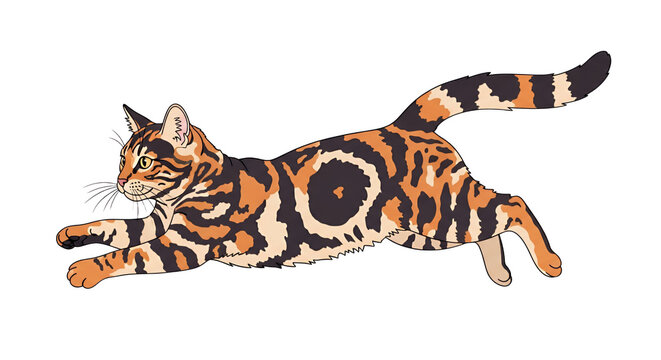 Stylized jumping calico cat illustration with marbled orange and black fur pattern on white background