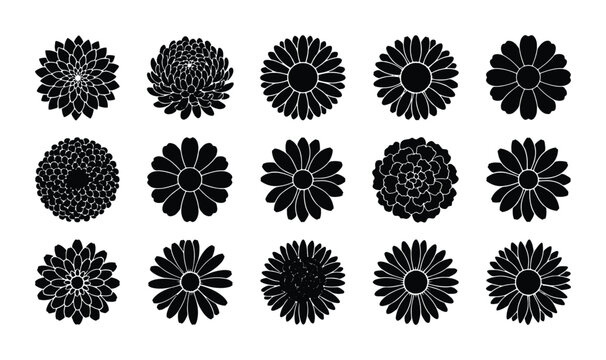 Set of 15 Black Flower Silhouettes, Floral Vector Icons, Botanical Graphic Elements for Design