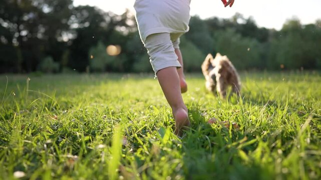 Child runs barefoot through green grass with small dog following. Kid plays outdoors in park during sunset. Puppy chases child across sunny meadow. Active play in nature with pet companion.