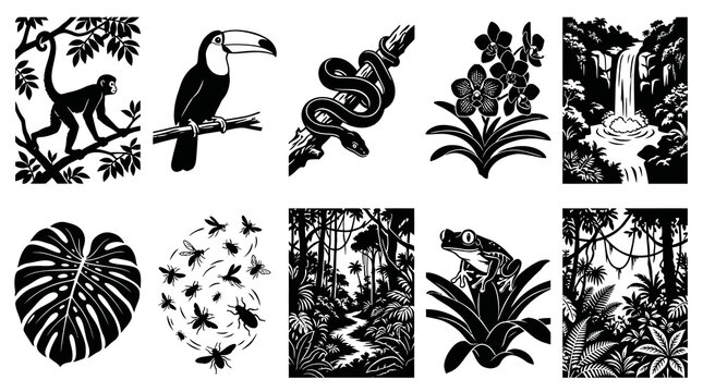 Black  White Tropical Rainforest Vector Icons: Animals, Plants  Landscapes