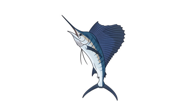 Sailfish jumping illustration isolated on white background. Blue marlin swordfish trophy for deep sea sport fishing mascot or logo design.