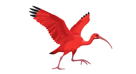 Naklejka premium Scarlet Ibis Bird Illustration - Vibrant Red Tropical Wading Bird in Flight with Spread Wings Isolated on White Background Vector Graphic