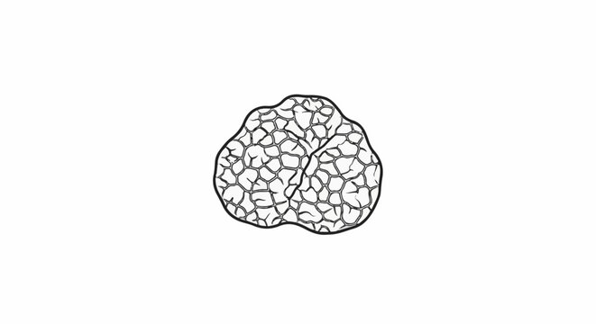 A sketch of a lumpy, irregular shaped truffle with a cracked surface