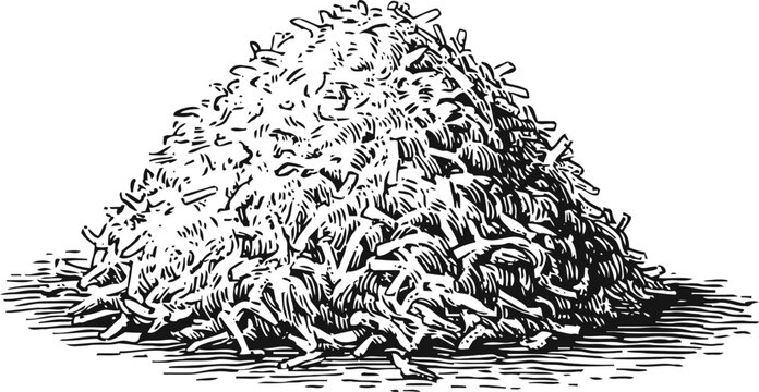 Pile of dried worm larvae in black and white vintage style, entomology and fishing bait concept