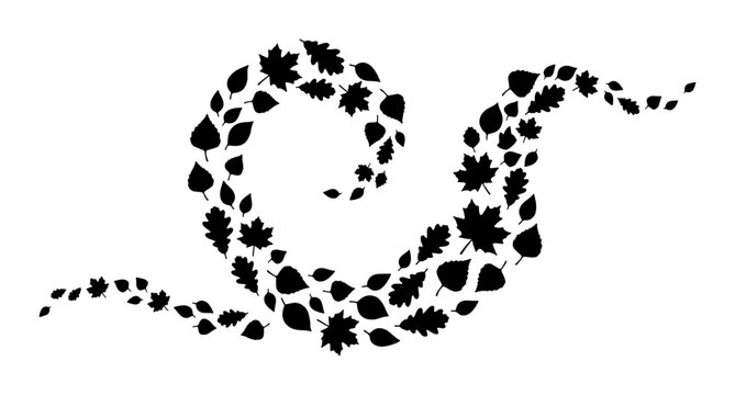 Autumn Leaf Swirl Vector, Seasonal Foliage Design, Fall Nature Element, Black Silhouette Collection for Decorative Use