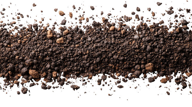 Close-up of dark, earthy soil with pebbles and texture