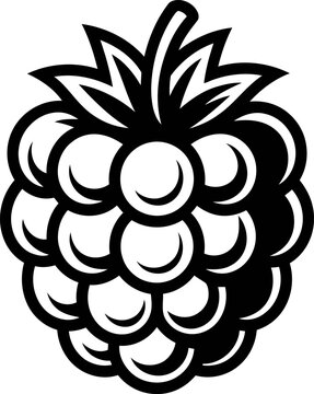 Black and white blackberry illustration with detailed leaves and drupelets, isolated fresh fruit design