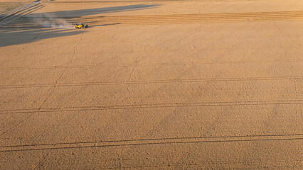Combine harvester working golden hour agricultural field from above © nicoescobarphoto