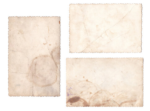 Back of tree vintage old photos texture with visible stains, aged yellowed details. Retro brown photo frames isolated on white background