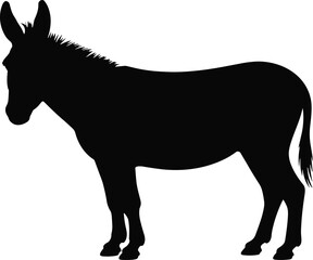 Fototapeta premium Black silhouette of a donkey standing shadow vector illustration EPS PNG file