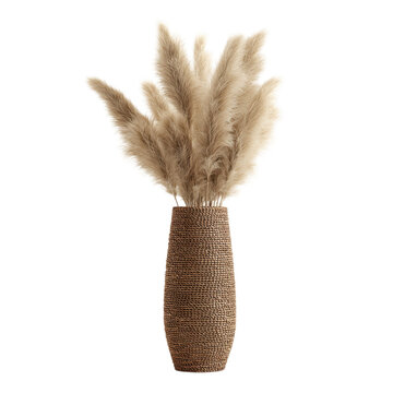 A stylish vase filled with fluffy pampas grass on transparent background