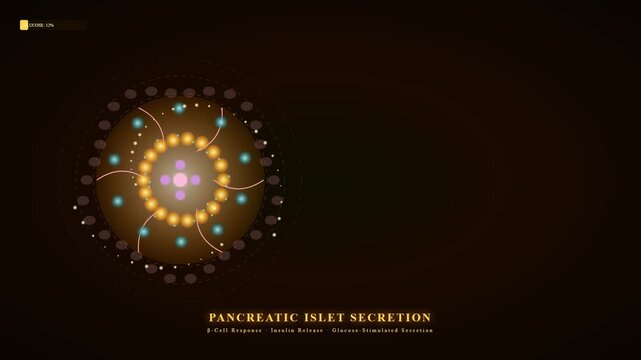 Advanced scientific visualization of organoid disease modeling demonstrating the complex pancreatic islet secretion, highlighting beta-cell response and glucose-stimulated insulin release.