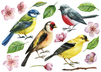 spring birds watercolor clipart set with blossom flowers green leaves and colorful songbirds isolated for seasonal design © Hanna
