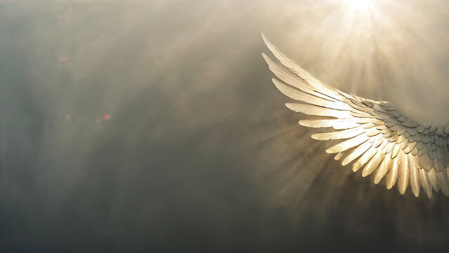 Heavenly Angel Wing With Light Rays In Mist