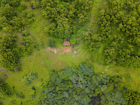 Aerial view of a rustic building nestled within vibrant green foliage near Pengilon Hill, Gunungkidul Regency, Daerah Istimewa Yogyakarta, Indonesia.