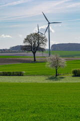 Obraz premium wind turbines farm