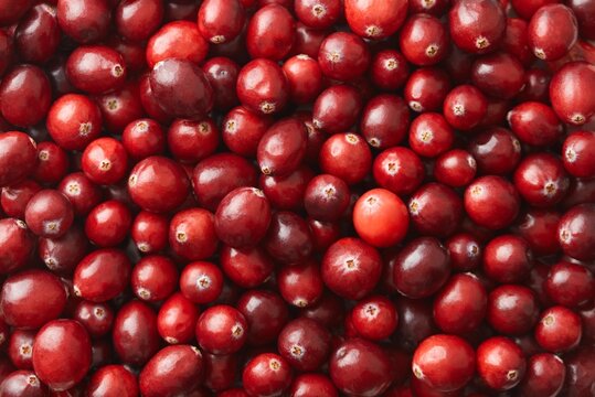 Fresh cranberries full frame. Top view