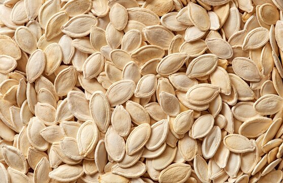 Pumpkin seeds in a shell full frame. Top view