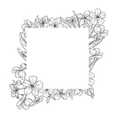 Fototapeta premium Cherry blossom flower frame vector isolated illustration. Square border with hand drawn blooming tree branch. Botanical decorative element for invitation, greeting card, wedding decor