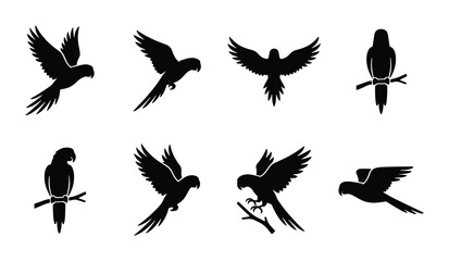 Parrot Silhouette Collection, Tropical Bird Vector Icons, Avian Wildlife Graphics, Flying and Perching Bird Poses © Kazi