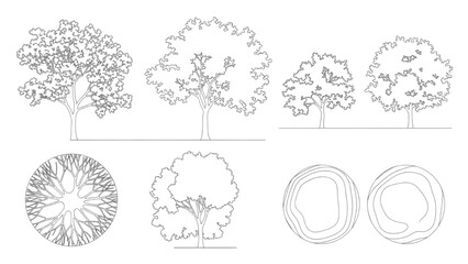 2D AutoCAD designs showcase various tree structures and cross sections © Stock Image Paradise