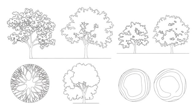 2D AutoCAD designs showcase various tree structures and cross sections