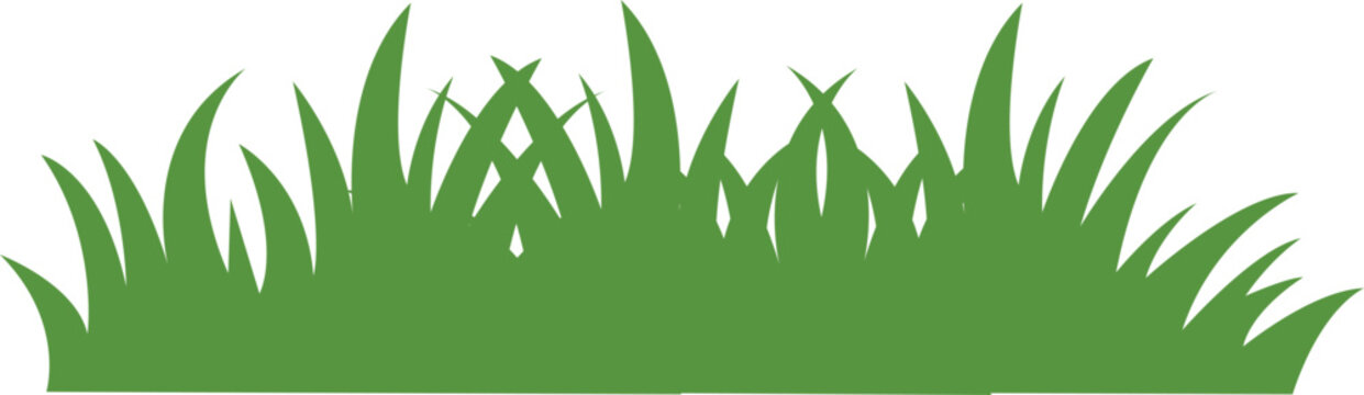 Fresh green grass blades with sharp tips natural texture vector Isolated on transparent background.