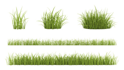 Green grass with fresh young blades growing in sunlight Vector © AZIFA