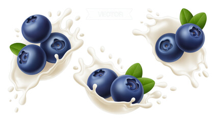 Fresh blueberries on a white plate with crumbs and berry leaves Vector © AZIFA