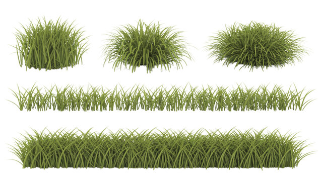 Three patches of green grass with different heights and textures Vector