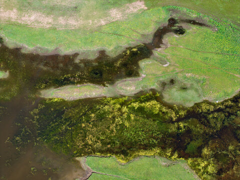 Aerial view of the marshy wetlands of Lake Kerkini featuring green meadows, dark water channels, and aquatic vegetation in Serres, Greece.