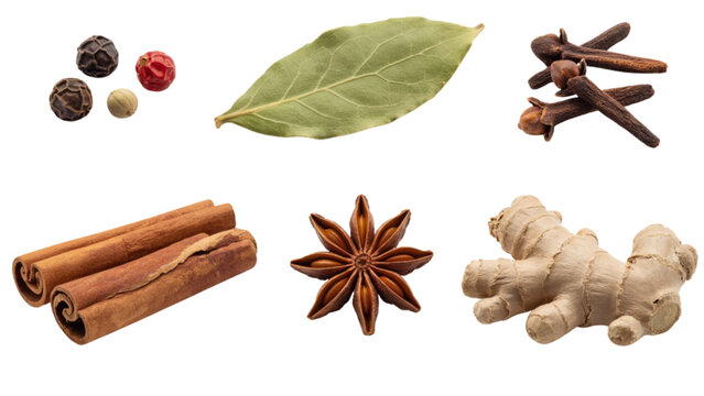 Assorted spices and herbs collection on white background Vector