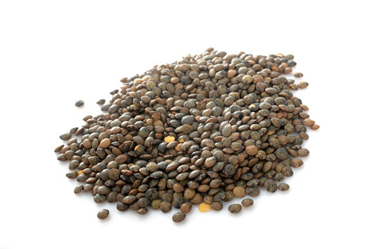 green Lentil in studio