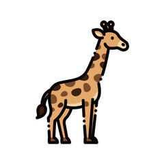 Fototapeta premium A cute giraffe with a long neck and skin patterns. Ideal for zoo, wildlife, or children's education themes, with scalable vectors.
