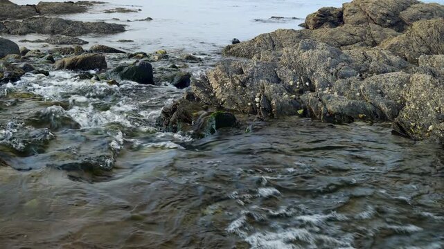 Sea water running in between rocks stock footage