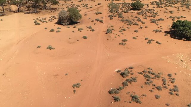 Orange sand, argan trees, and varied soil textures in arid landscape near Agadir, Morocco. Aerial drone at low altitude, copy space