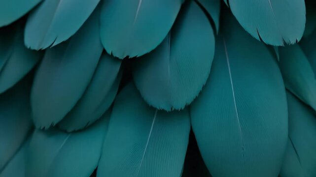 Close-up of overlapping teal macaw feathers with detailed texture.