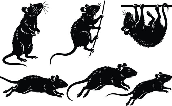 Black Rat Silhouette Set in Various Poses Vector Illustration