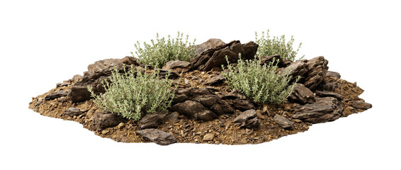 Naklejka premium shrub, rock, plant, garden, landscaping, isolated, nature. Realistic Mediterranean xeriscaping element featuring green bushes and dark slate stones for architectural visualization.