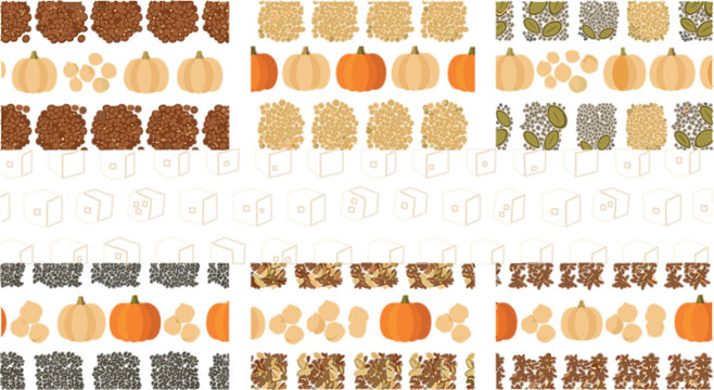 Autumn Harvest Seamless Pattern Vector Set with Pumpkins Grains Seeds and Nuts for Fall Season Background and Thanksgiving Design