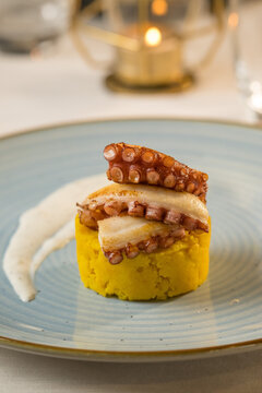 Elegant gourmet appetizer of grilled octopus tentacles served in a fine dining restaurant. 