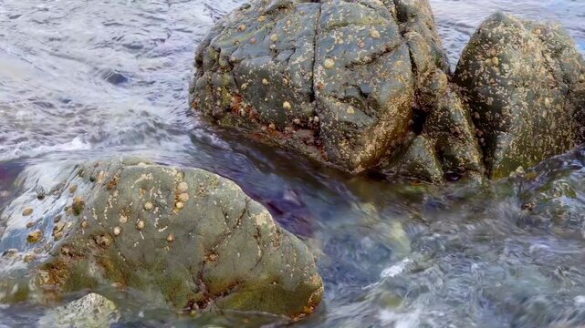Sea water running in between rocks stock footage
