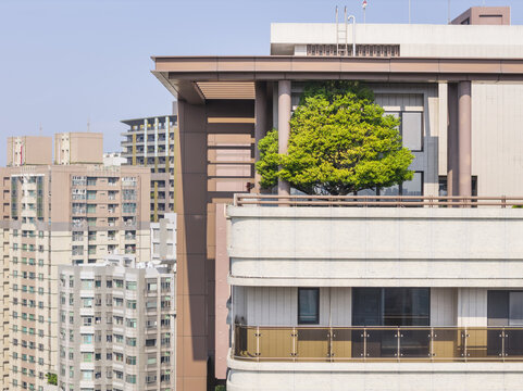 Aerial view of a modern residential building featuring a lush green tree on a rooftop terrace with high-rise apartment blocks in the background under a clear sky in Taiwan.