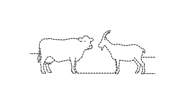 A dotted outline illustration of a cow facing a goat, with dashed lines indicating their relative sizes and positions.