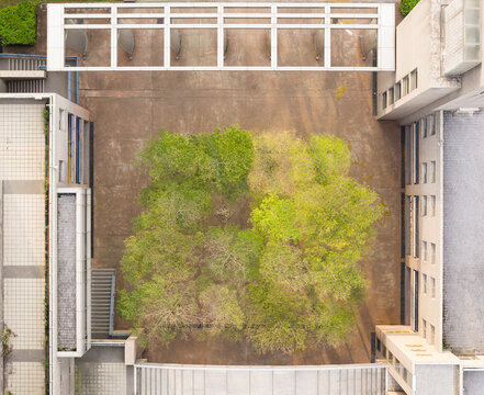 Aerial view of a modern building courtyard with a central cluster of green trees and geometric architecture in Taiwan.